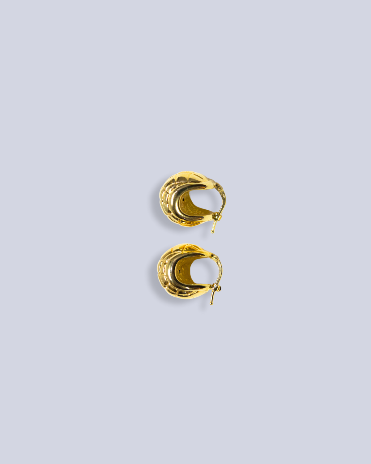 Yellow gold hoops